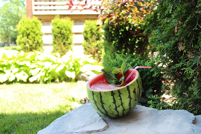 Coconut Watermelon SensationCoconut Watermelon Sensation