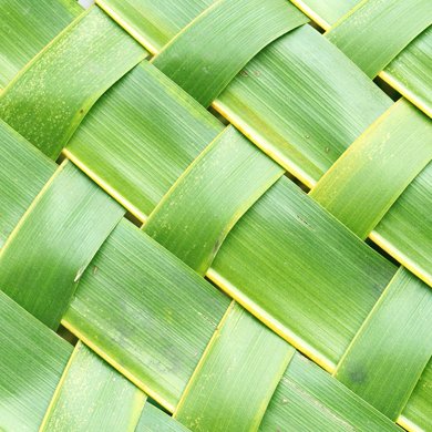 homepage Weave