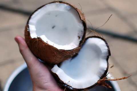 how to make coconut milk